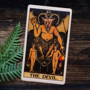Tarot en Runenlegging Dossier 2024 De Duivel