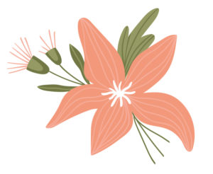 Zomerhoroscoop preview bloem Bloom web