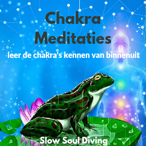 Chakra meditaties Hans Koster Slow Soul Diving visual artikel Bloom