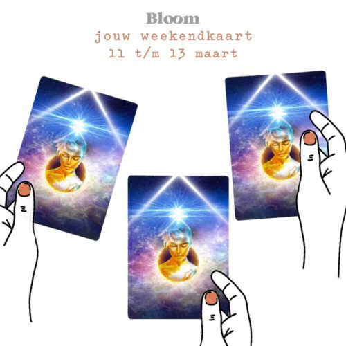Weekendkaart 11/03/2022 - 13/03/2022