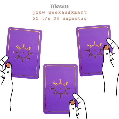 Weekendkaart 20/08/2021 - 22/08/2021