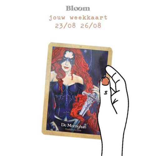 Weekkaart 23/08/2021 - 26/08/2021
