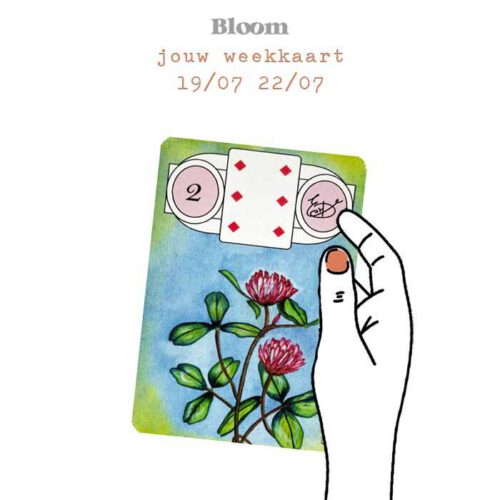Weekkaart 19/07/2021 - 22/07/2021