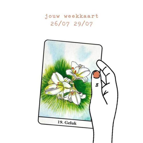 Weekkaart 26/07/2021 - 29/07/2021
