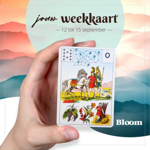Weekkaart 12/09/2022 - 15/09/2022