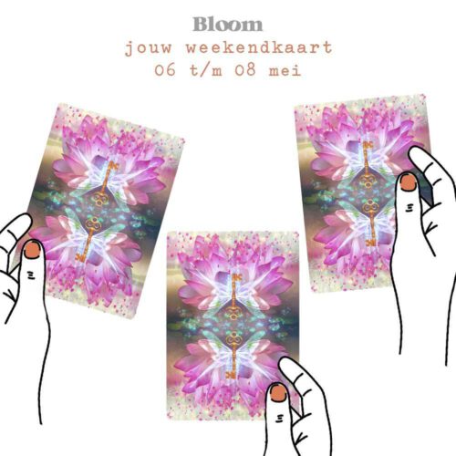 Weekendkaart 06/05/2022 - 08/05/2022