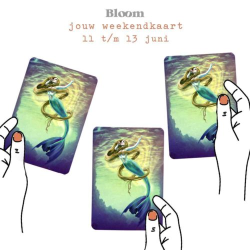 Weekendkaart 11/06/2021 - 13/06/2021