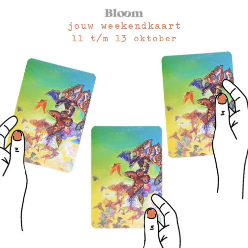 Weekendkaart 11/10/2019 - 13/10/2019