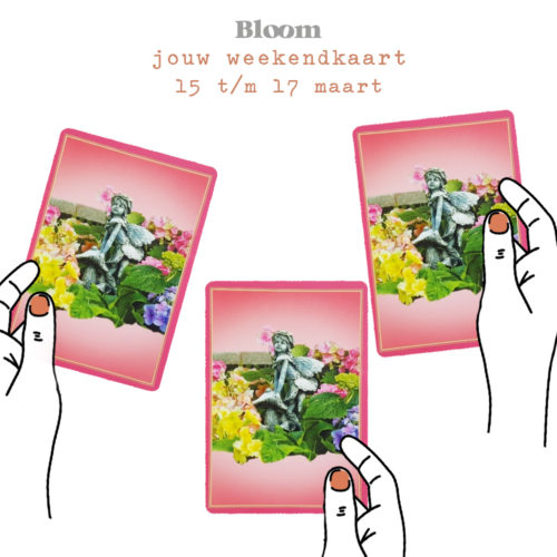 Weekendkaart 15/03/2019 - 17/03/2019