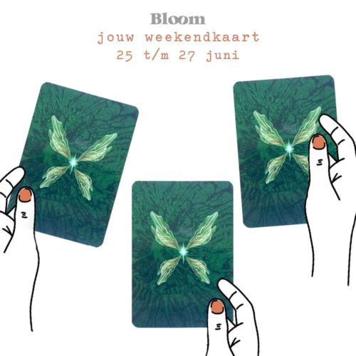 Weekendkaart 25/06/2021 - 27/06/2021