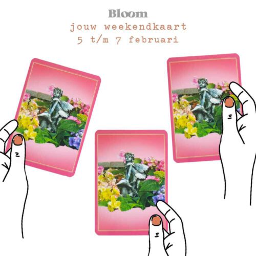 Weekendkaart 5/02/2021 - 7/02/2021