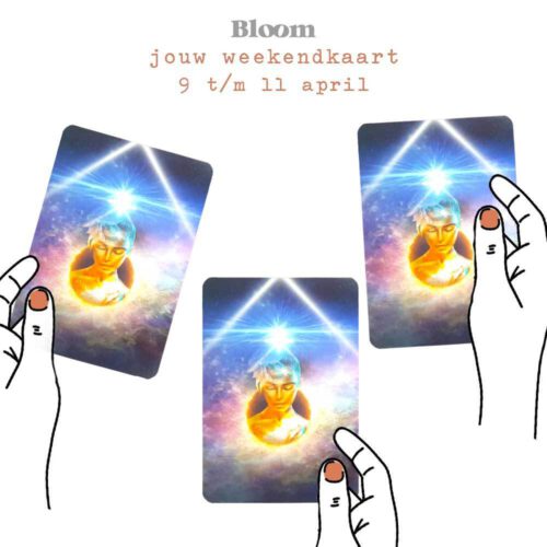 Weekendkaart 9/04/2021 - 11/04/2021