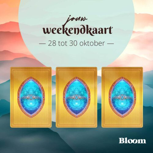 Weekend Engelenkaart 28/10/2022 - 30/10/2022