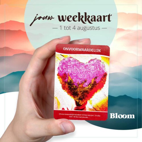 Weekkaart 01/08/2022 - 04/08/2022