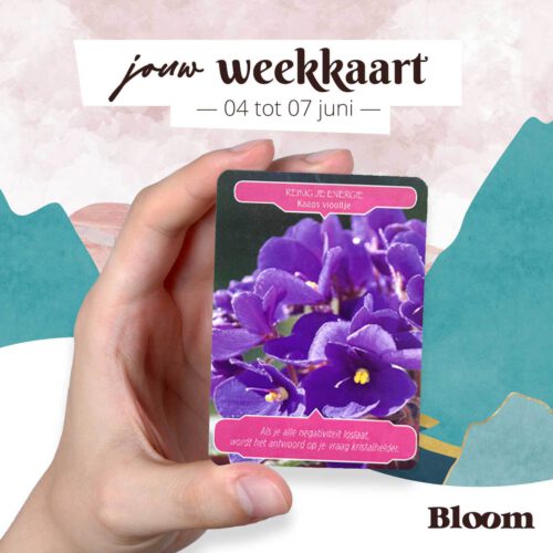 Weekkaart 04/07/2022 - 07/07/2022