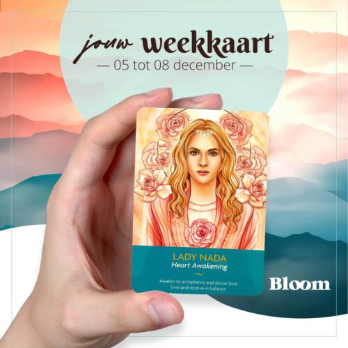 Weekkaart 05/12/2022 - 08/12/2022