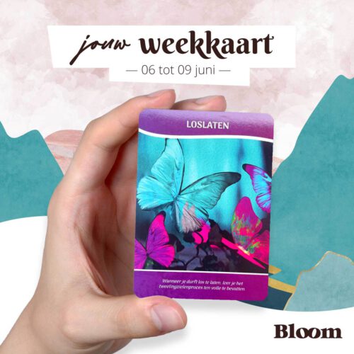 Weekkaart 06/06/2022 - 09/06/2022