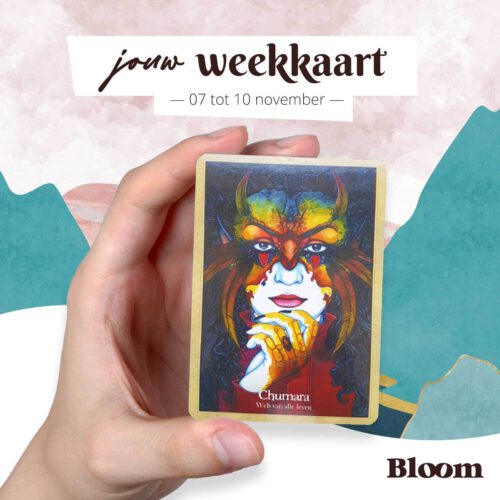 Weekkaart 07/11/2022 - 10/11/2022