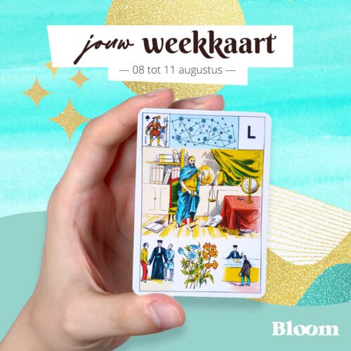 Weekkaart 08/08/2022 - 11/08/2022