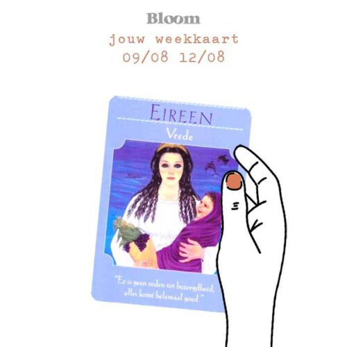 Weekkaart 09/08/2021 - 12/08/2021