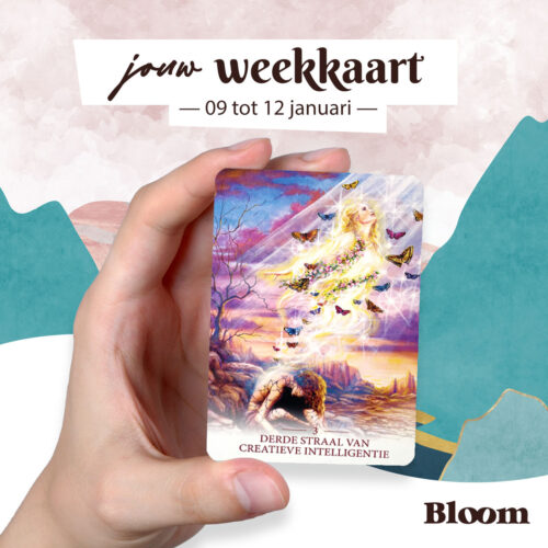 Weekkaart 09/01/2021 - 12/01/2023