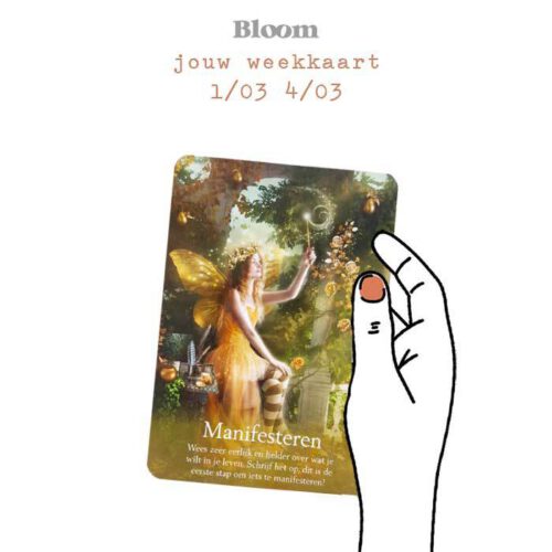 Weekkaart 1/03/2021 - 4/03/2021
