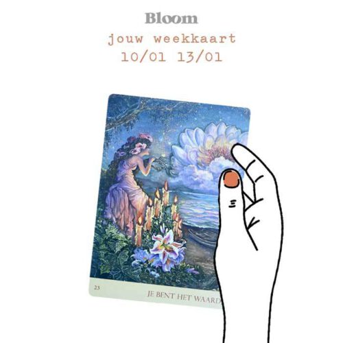 Weekkaart 10/01/2022 - 13/01/2022