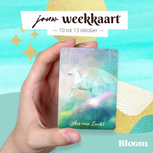 Weekkaart 10/10/2022 - 13/10/2022