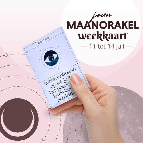 Weekkaart 11/07/2022 - 14/07/2022