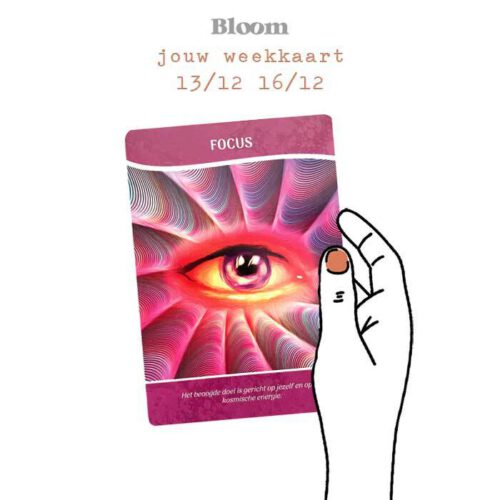 Weekkaart 13/12/2021 - 16/12/2021