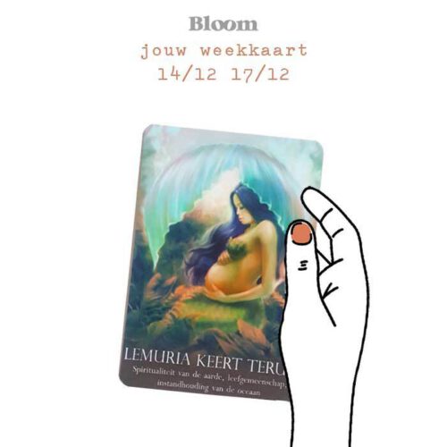 Weekkaart 14/12/2020 - 17/12/2020