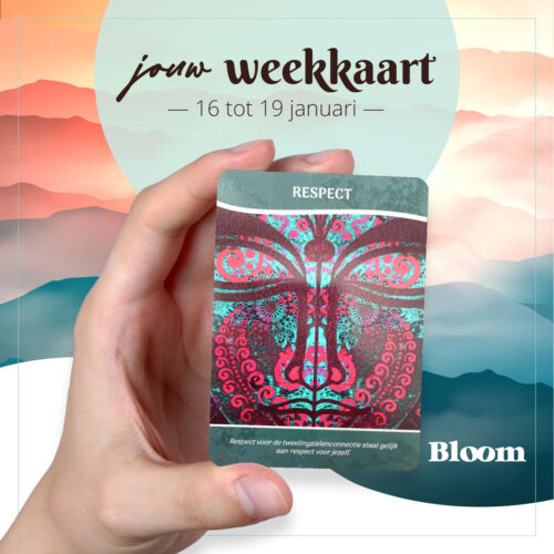 Weekkaart 16/01/2023 - 19/01/2023