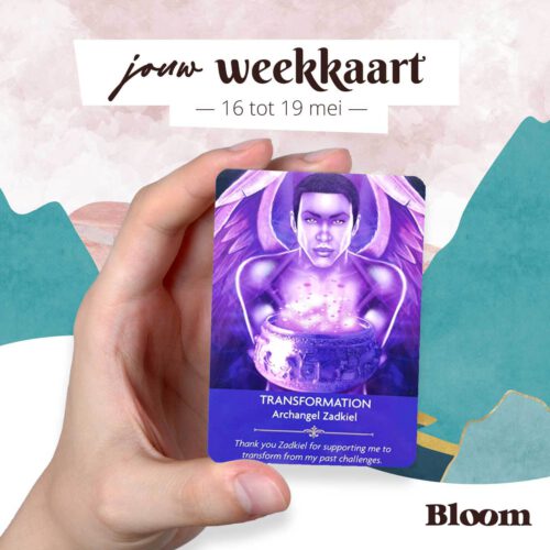Weekkaart 16/05/2022 - 19/05/2022