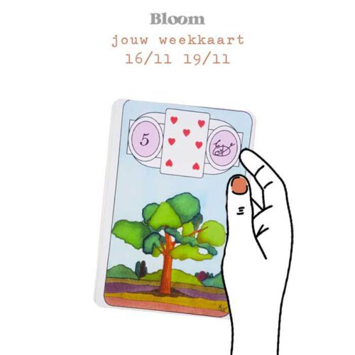 Weekkaart 16/11/2020 - 19/11/2020