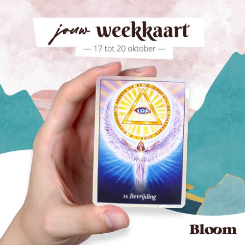 Weekkaart 17/10/2022 - 20/10/2022