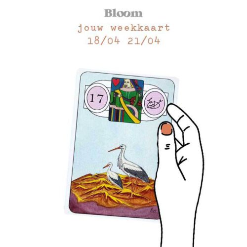 Weekkaart 18/04/2022 - 21/04/2022