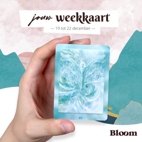 Weekkaart 19/12/2022 - 22/12/2022