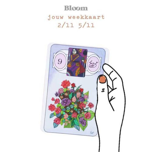 Weekkaart 2/11/2020 - 5/11/2020