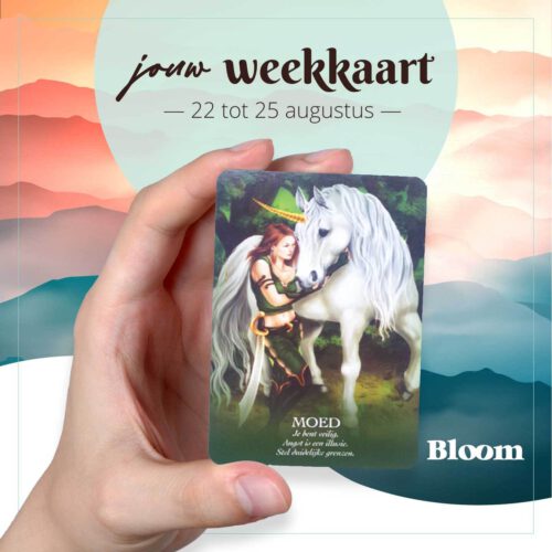 Weekkaart 22/08/2022 - 25/08/2022