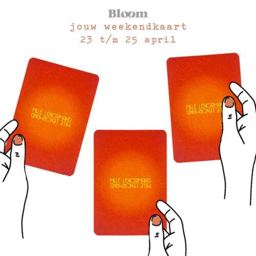 Weekend Engelenkaart 23/04/2021 - 25/04/2021