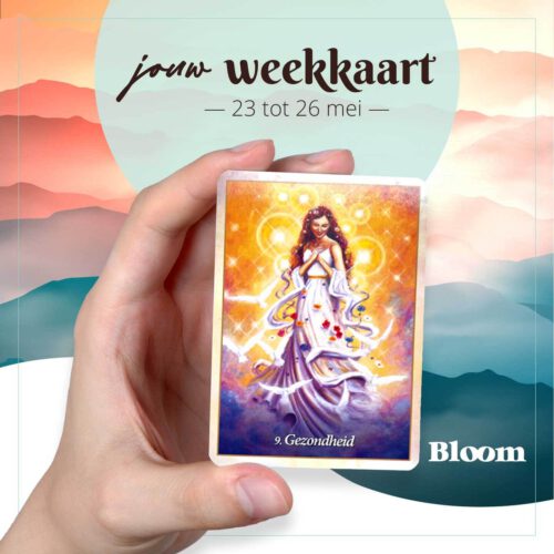 Weekkaart 23/05/2022 - 26/05/2022
