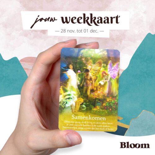 Weekkaart 28/11/2022 - 01/12/2022