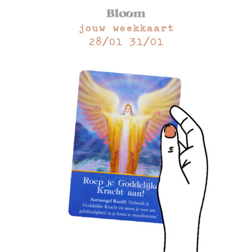 Weekkaart 28/01/2019 - 31/01/2019