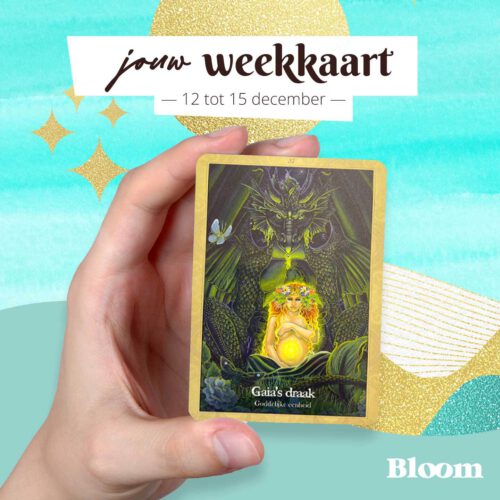 Weekkaart 12/12/2022 - 15/12/2022