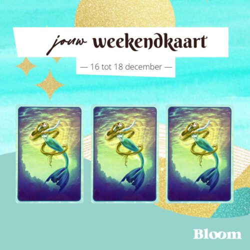 Weekendkaart 16/12/2022 - 18/12/2022