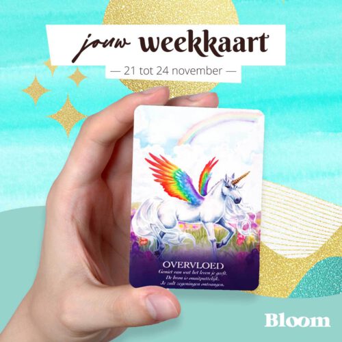Weekkaart 21/11/2022 - 23/11/2022