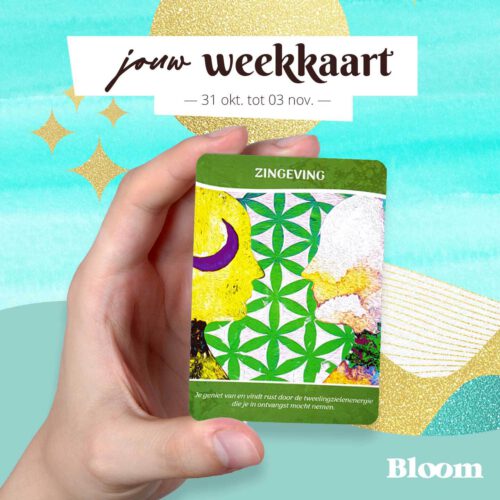 Weekkaart 31/10/2022 - 03/11/2022