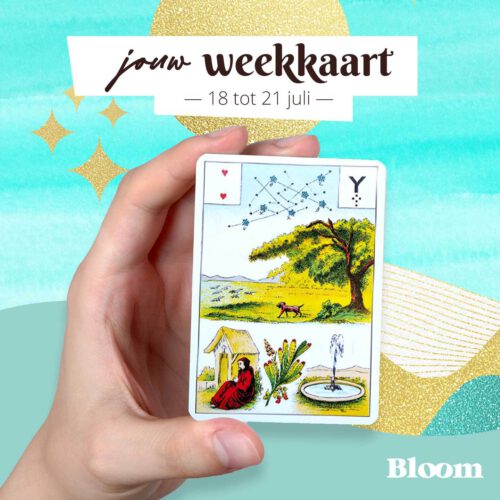 Weekkaart 18/07/2022 - 21/07/2022