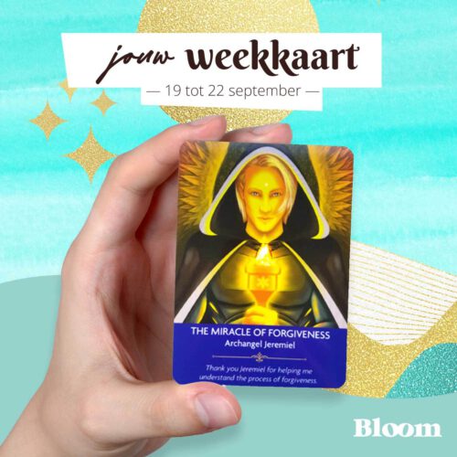 Weekkaart 19/09/2022 - 22/09/2022