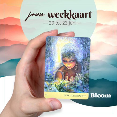 Weekkaart 20/06/2022 - 23/06/2022